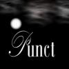 PunNcT